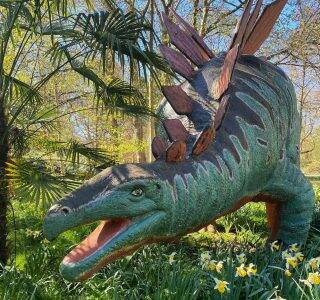 Dino Spring