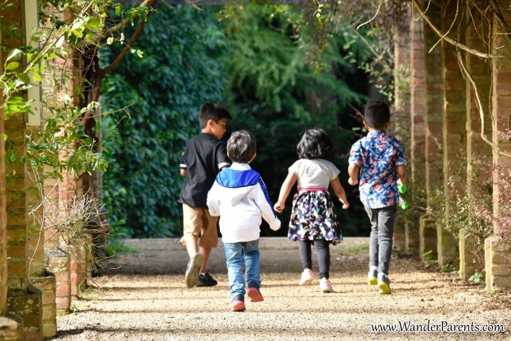 Three children walk through a garden tunnel, surrounded by vibrant autumn foliage at Knebworth Gardens.