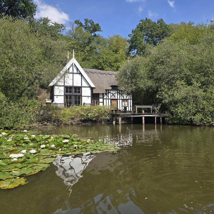 Lake view