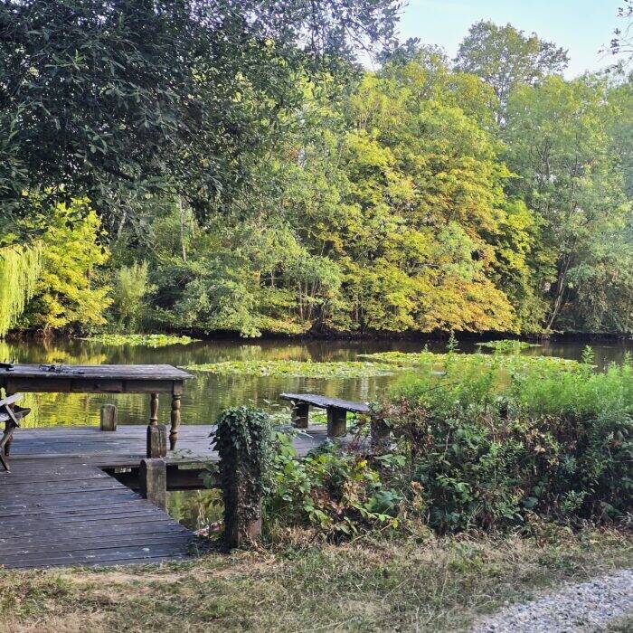 Lake view