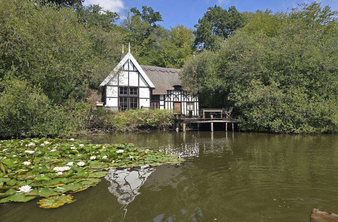 Lake view