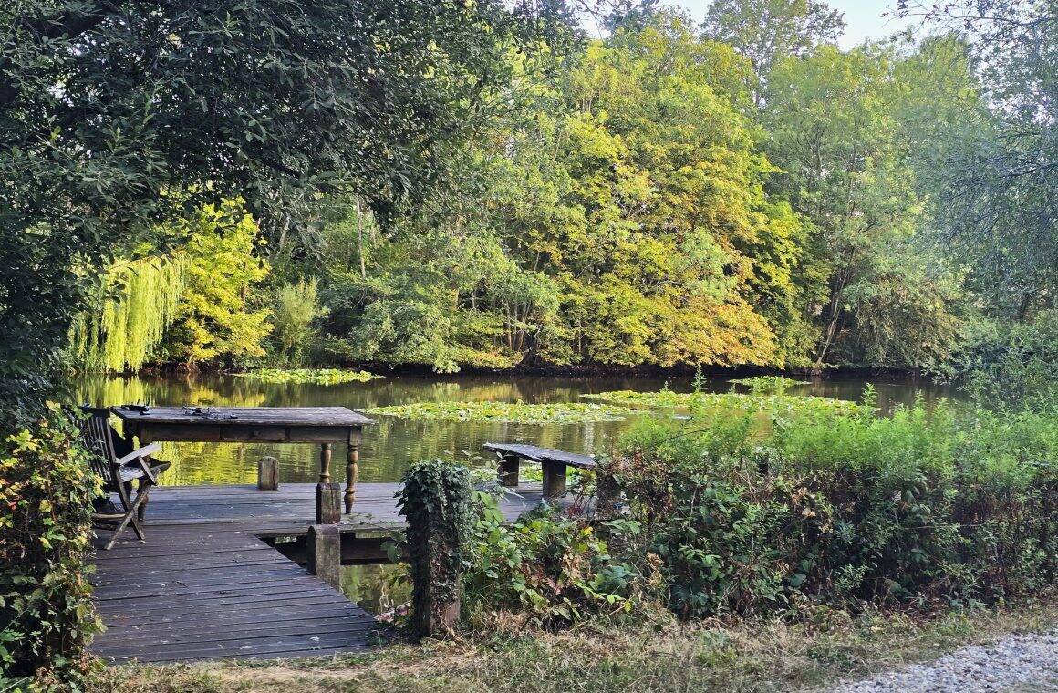 Lake view