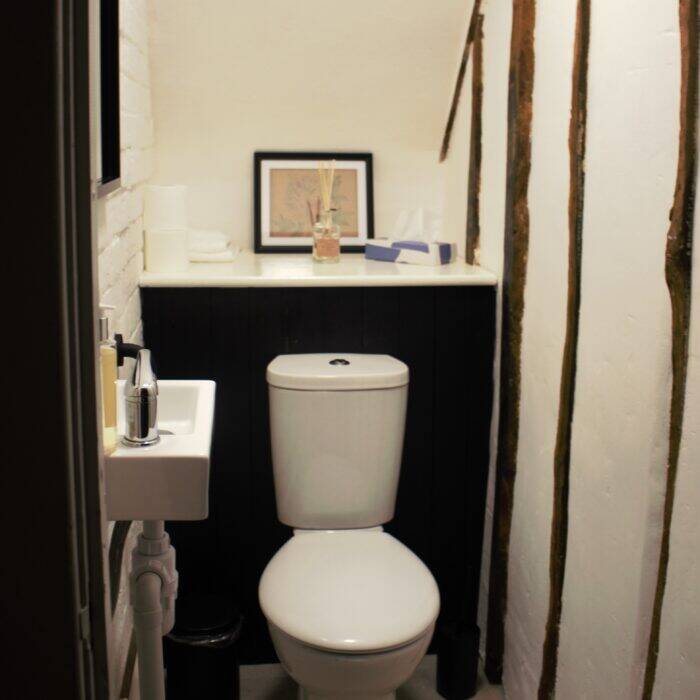 Downstairs loo