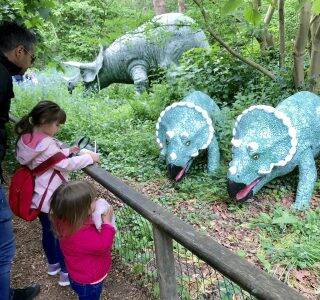 Dino Trail Lewis Family 9