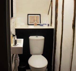 Downstairs loo